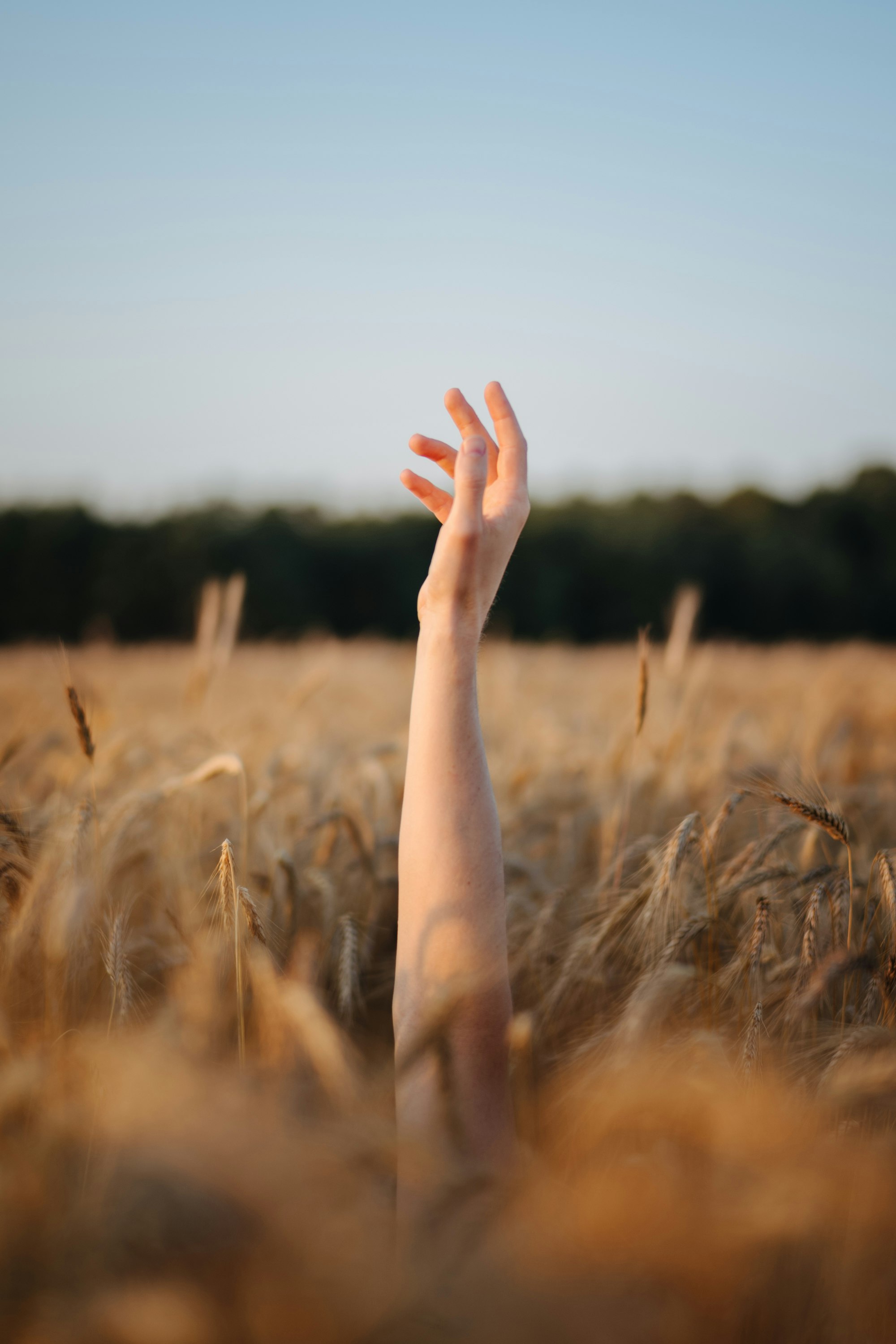 persons hand on brown grass field during daytime